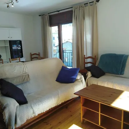 Appartement Pis Gran I Acollidor Amb Llar De Foc, A Camprodon